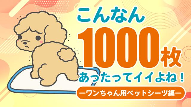 スヌーピー愛好家 プロフ読んでね様 確認用ページ（おうちで 