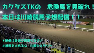 カクタスTKの危険馬を見破れ！　川崎競馬予想