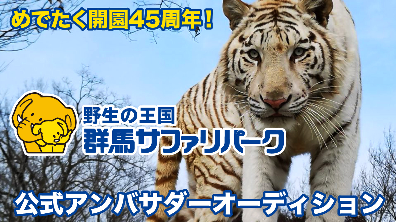 野生の王国『群馬サファリパーク』公式アンバサダーオーディション
