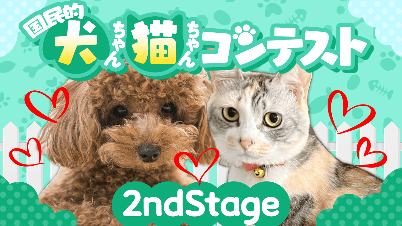 【2ndStage】第2回国民的犬ちゃん・猫ちゃんコンテスト