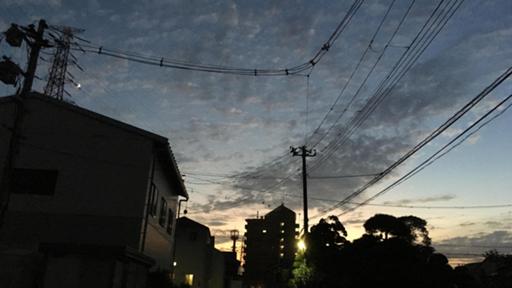 SAT - Profile - SHOWROOM