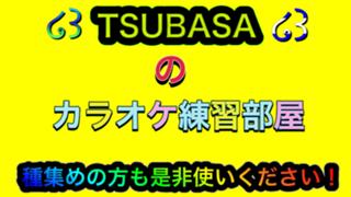 ໒꒱TSUBASA໒꒱のカラオケ練習部屋🎤