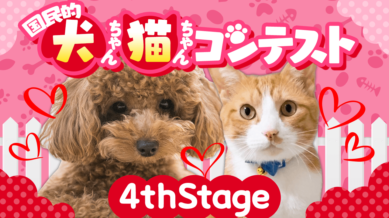 【4thStage】第2回国民的犬ちゃん・猫ちゃんコンテスト
