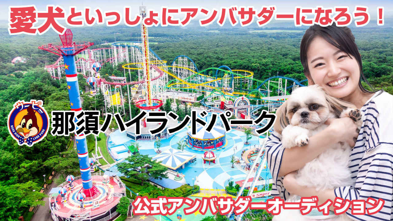 わんちゃんといっしょに行ける遊園地『那須ハイランドパーク』公式アンバサダーオーディション