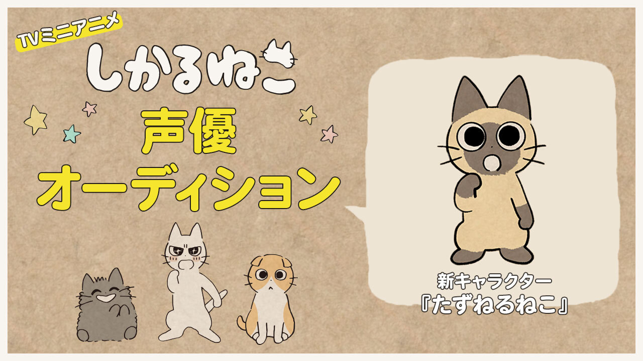 しかるねこ新キャラクター声優オーディション Showroom ショールーム しかるねこ新キャラクター声優オーディション Showroom ショールーム