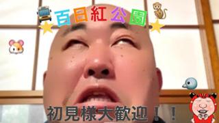 【１ヶ月まったりイベ中】百日紅公園★