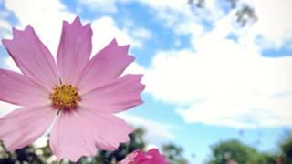 初めてやってみる🐣🔰