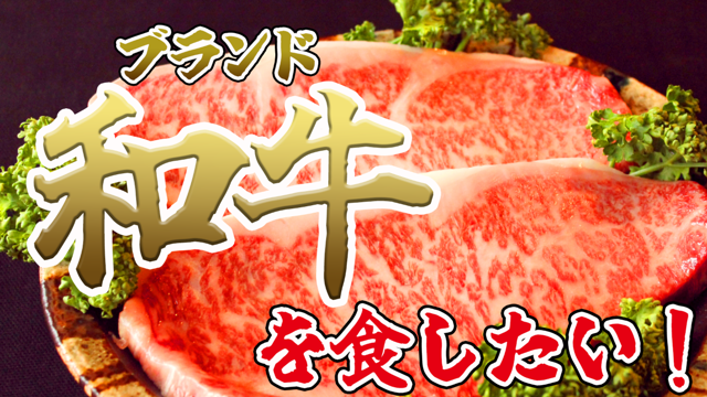 58番 21番 kutsurogi 様 専用ページ (牛!GYU!ギュウ 58番 21番 kutsurogi 様 専用ページ (牛!GYU!ギュウ