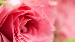 あすか  メルルーム勉強塔