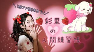 🍓彩里の人間練習帳🖖