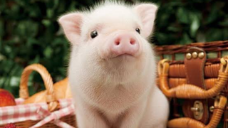 兄貴の歌ってこらえて！