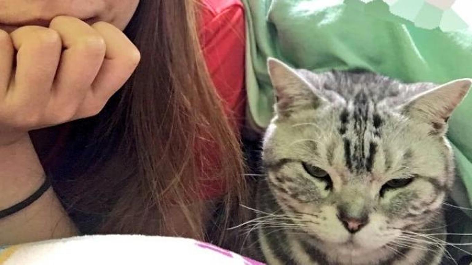 にゃにゃぁ にゃんにゃにゃぁ にゃーにゃんにゃ - プロフィール
