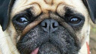 おじさんの暇潰し