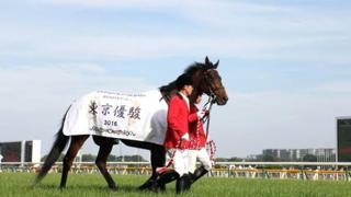 馬馬(うまうま)ROOM相談所