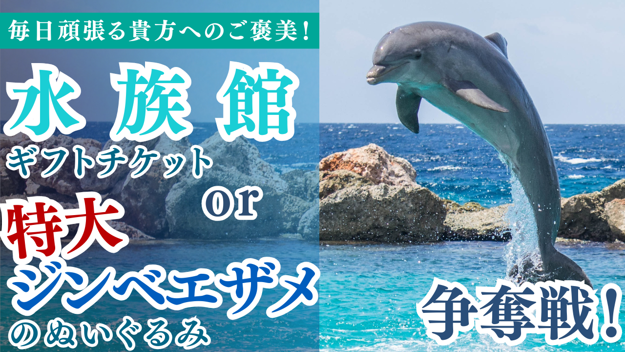 水族館ギフトチケットor特大ジンベエザメのぬいぐるみ争奪戦!Vol.5