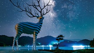 ひろちるーむ☘️