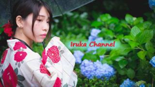 🐬ゆっくりIrukaのマイペース配信🐬
