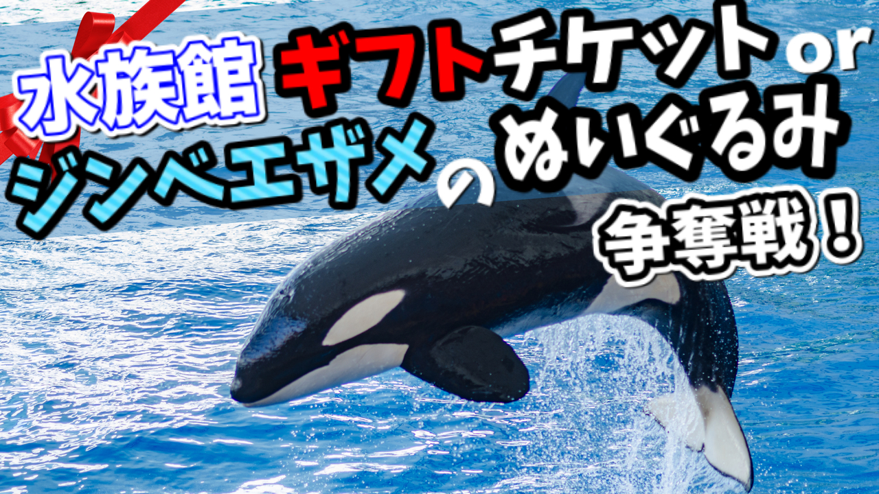 水族館ギフトチケットor特大ジンベエザメのぬいぐるみ争奪戦!
