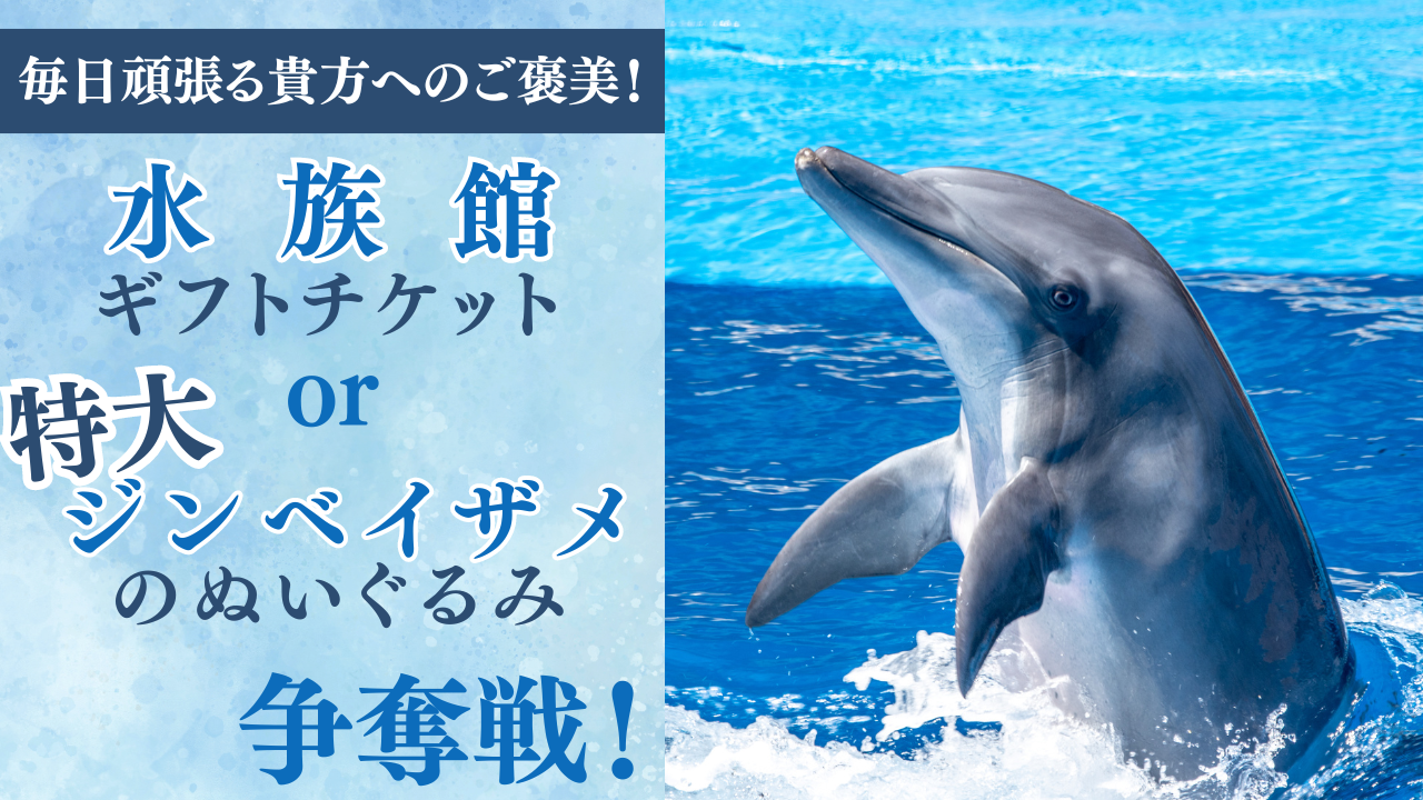 毎日頑張る貴方へのご褒美!水族館ギフトチケットor特大ジンベエザメのぬいぐるみ争奪戦!