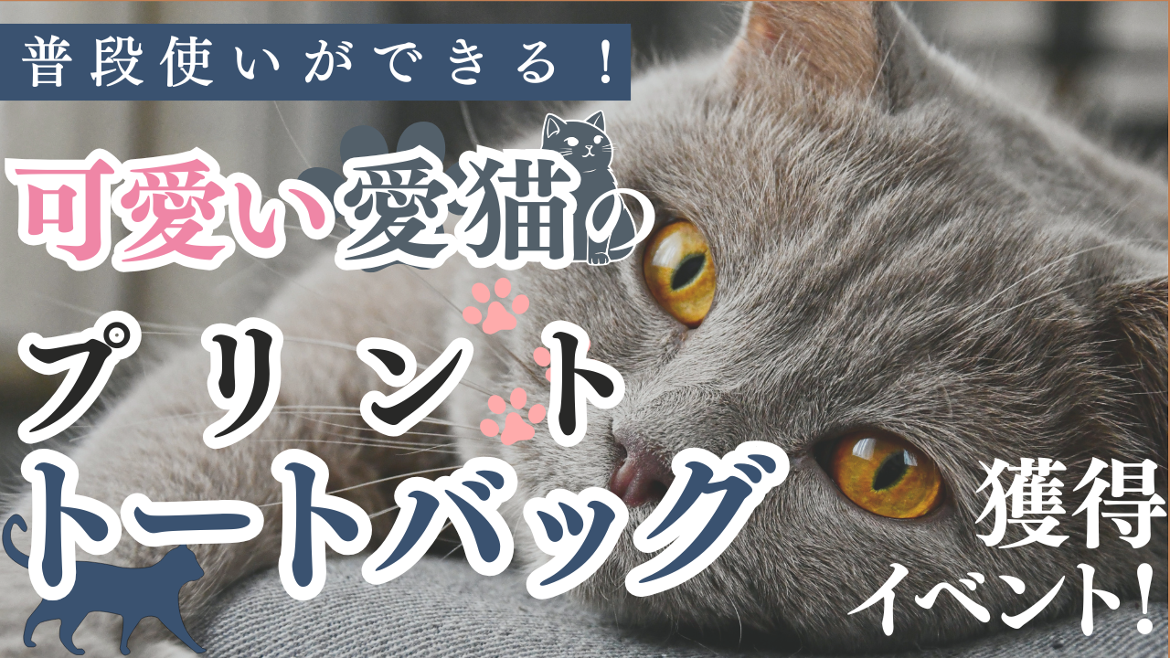 普段使いができる！可愛い愛猫のプリントトートバック獲得イベント！