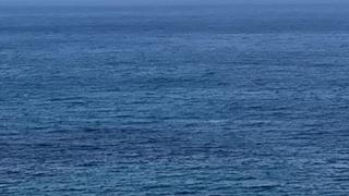 ★百日紅公園★