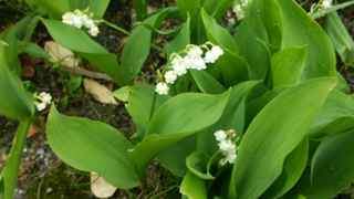 これん の部屋☆