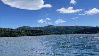 シャカリキの扉〜生命の輝き〜