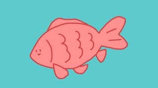 200人に嫌われてもいいから80人を幸せにしたい。