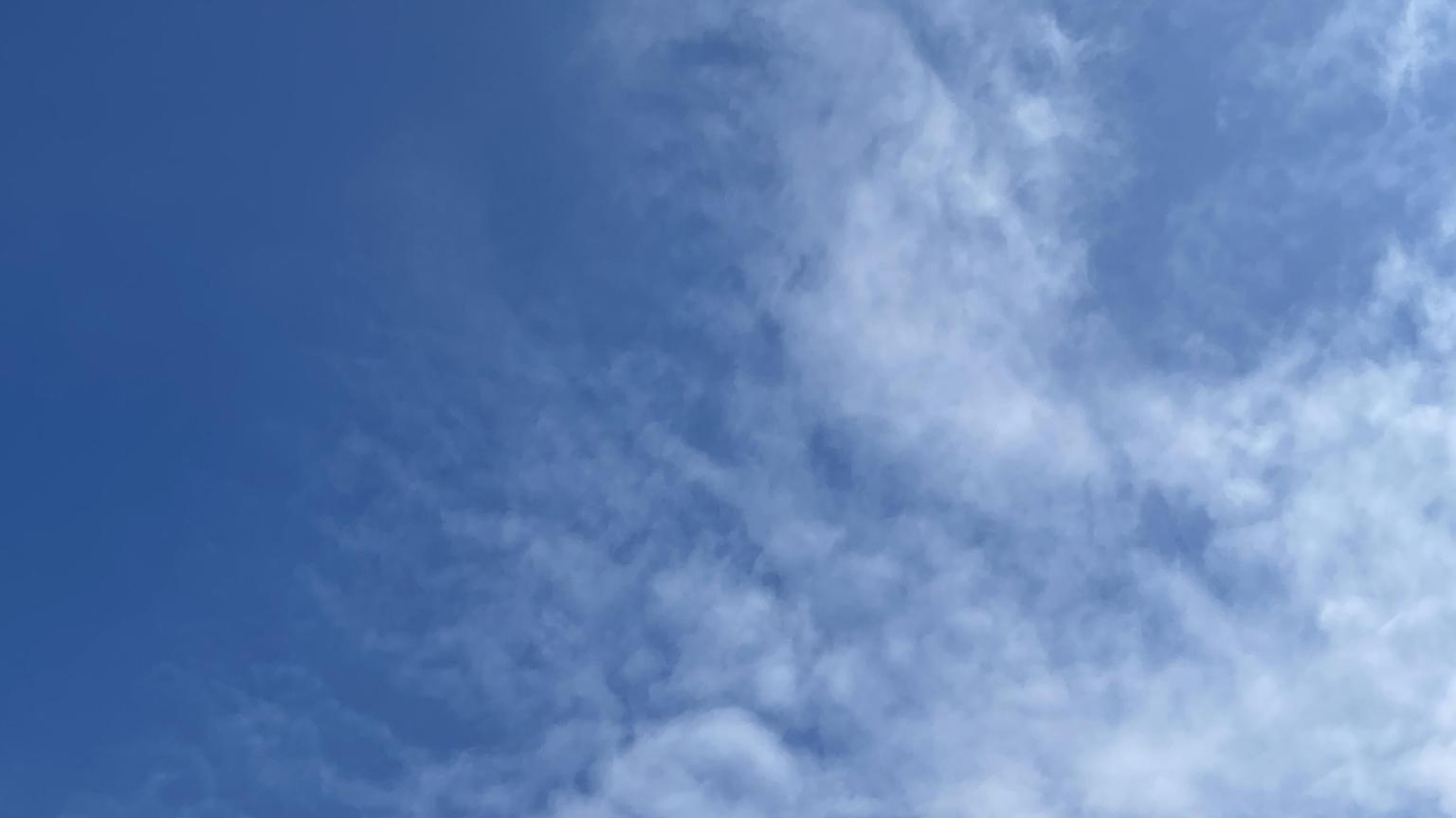 燃えろ ガリバーボーイ プロフィール Showroom ショールーム 燃えろ ガリバーボーイ プロフィール Showroom ショールーム