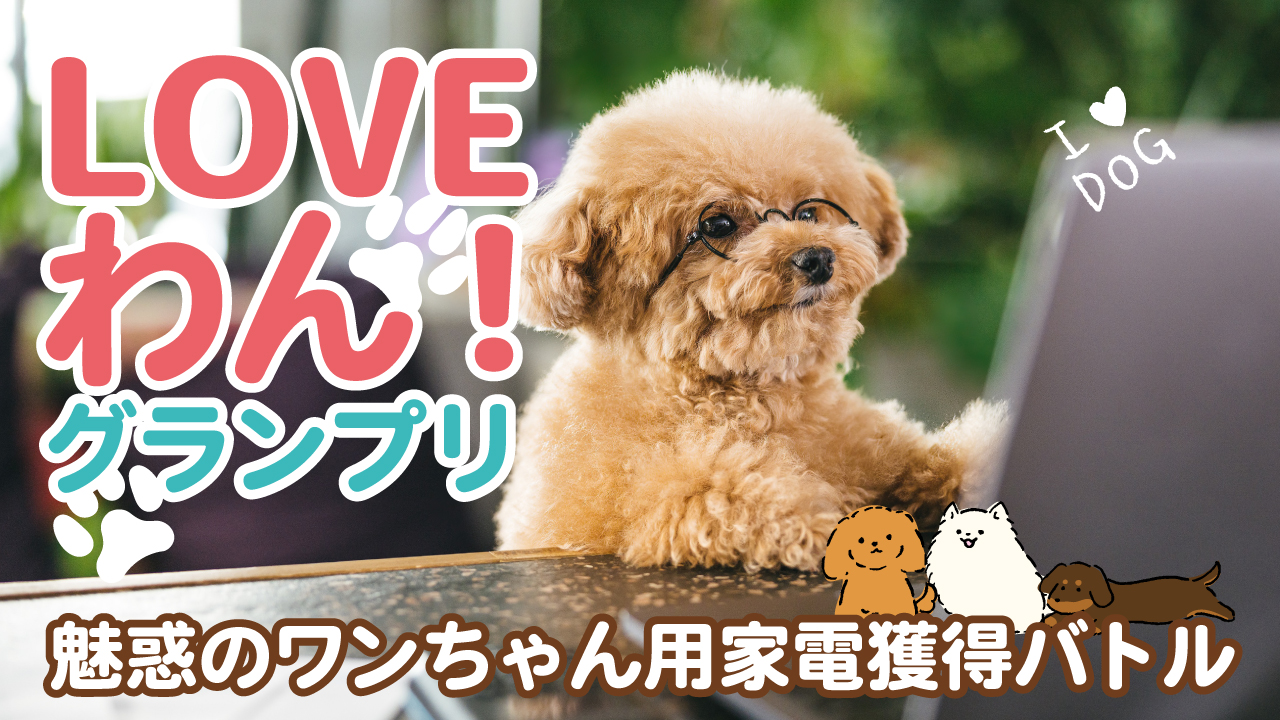 LOVEわん!グランプリ ー魅惑のワンちゃん用家電獲得バトルー