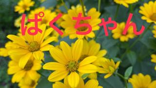 ぱくちゃんB4目指す種おくれ☺️