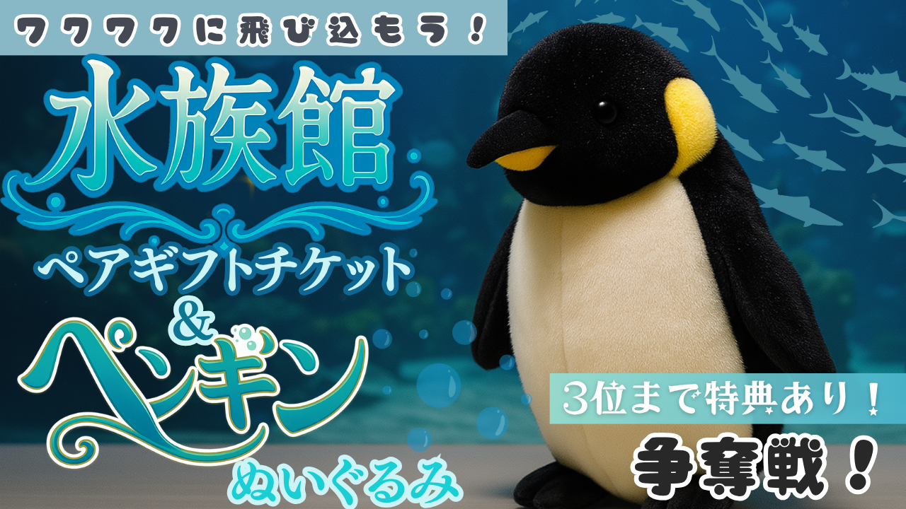 ワクワクへ飛び込もう!水族館ペアギフトチケット&ペンギンのぬいぐるみ争奪戦!