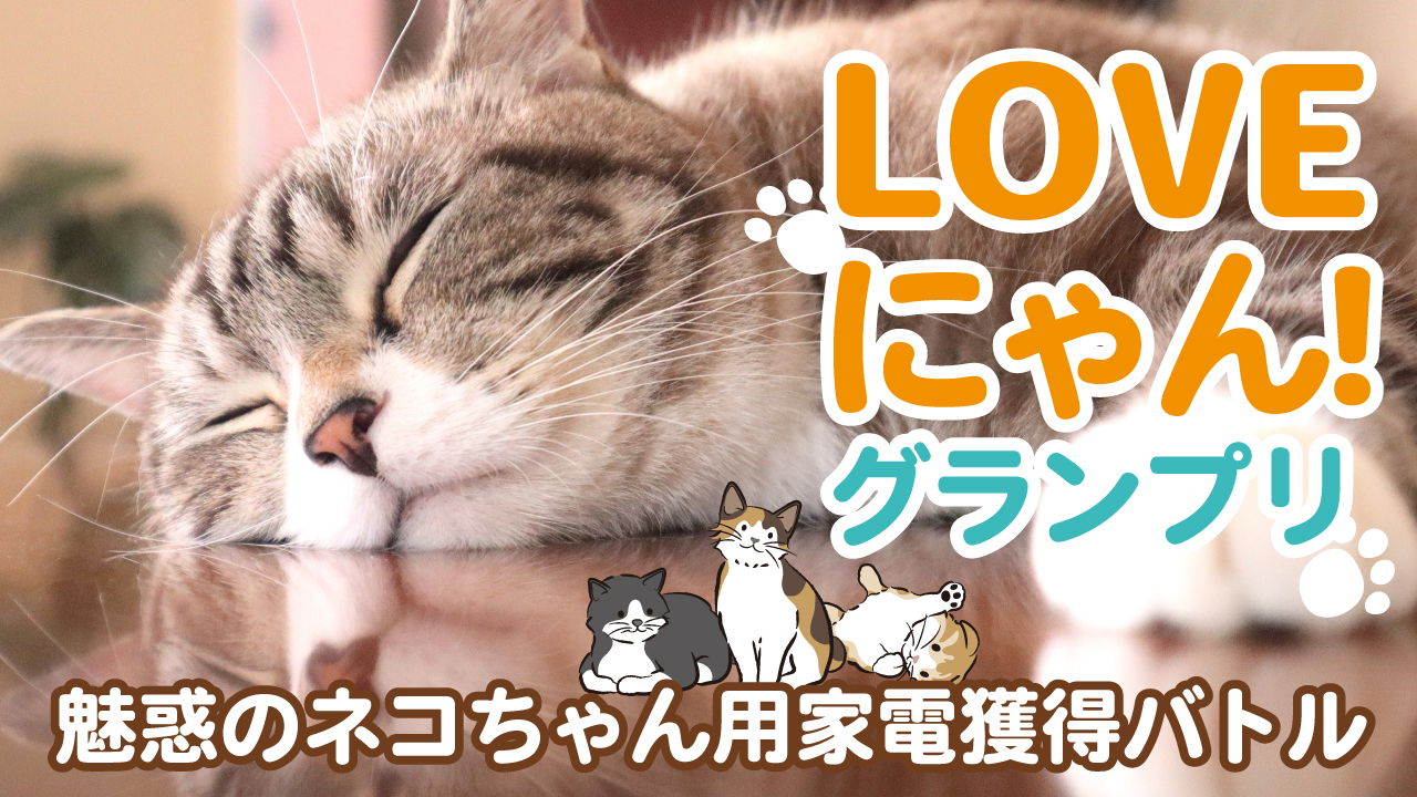 第2回『LOVEにゃん!グランプリ』ー魅惑のネコちゃん用家電獲得バトルー