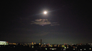 アンジェロの雑音部屋🎼