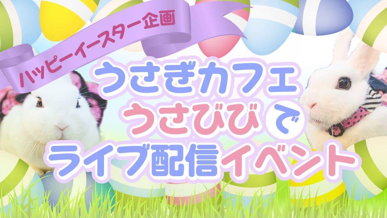 【ハッピーイースター企画】 うさぎカフェ うさびびでライブ配信イベント