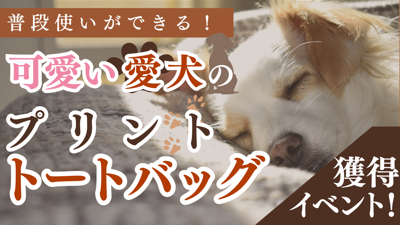 普段使いができる!可愛い愛犬のプリントトートバック獲得イベント!Vol.2