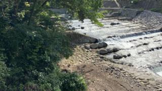 ♪♩♬気の向くままに♪♩♬