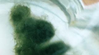 びずあるけいっぽいやつからいろいろなんでも歌ってる部屋