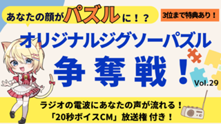 あなたの顔がパズルに！？オリジナルジグソーパズル争奪戦！！Vol.29