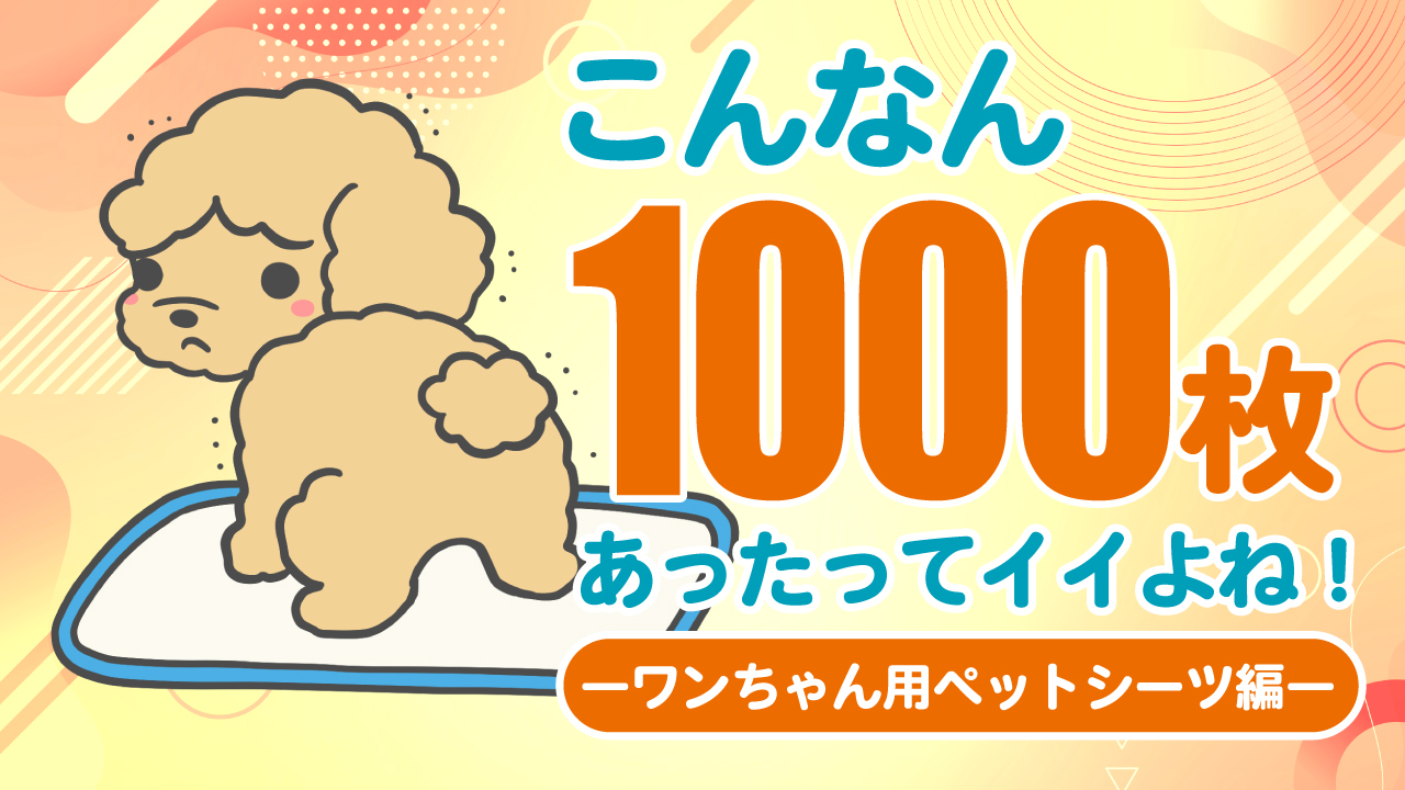 こんなん1000枚あったってイイよね!―ワンちゃん用ペットシーツ編― Vol.3