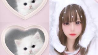 ねーたんの部屋🦎