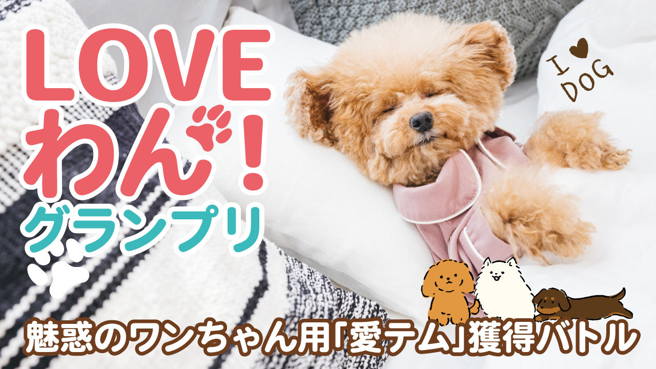 第3回『LOVEわん!グランプリ』 ー魅惑のワンちゃん用「愛テム」獲得バトルー