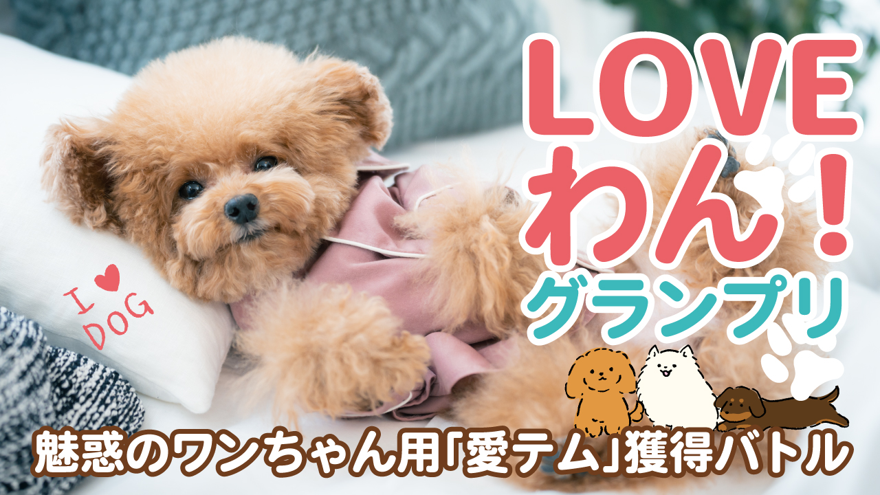 第4回『LOVEわん!グランプリ』 ー魅惑のワンちゃん用「愛テム」獲得バトルー