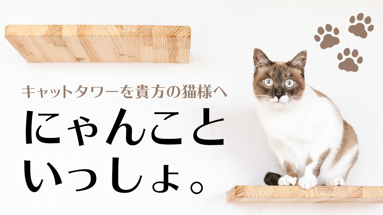 にゃんこといっしょ。