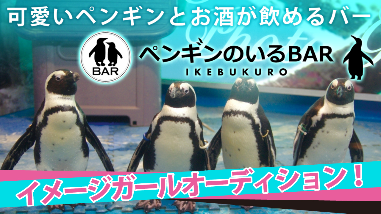 胸キュン必至♡『ペンギンのいるBAR池袋』イメージガールオーディションVol.2
