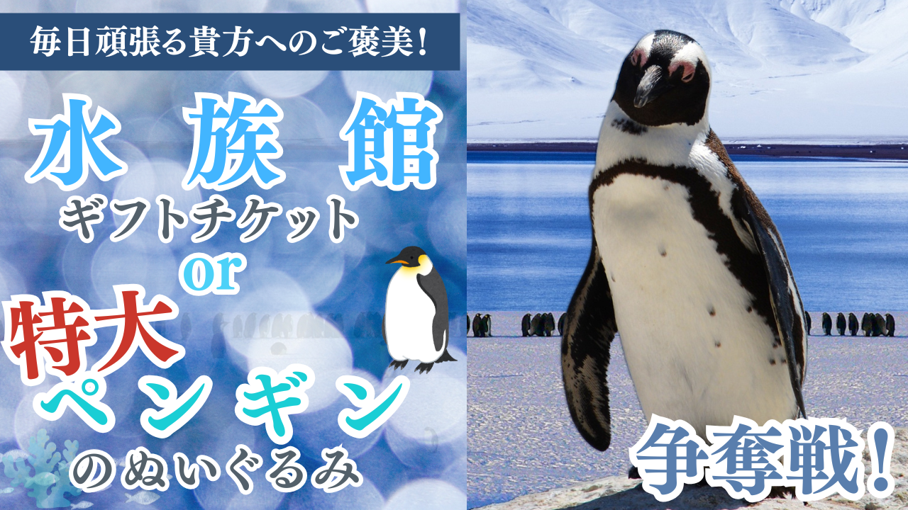 水族館ギフトチケットorペンギンのぬいぐるみ争奪戦!Vol.3