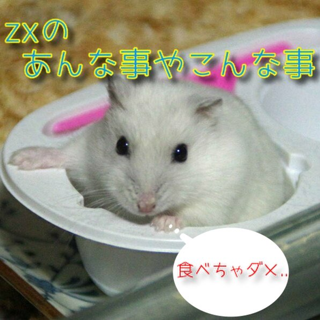 zxのあんな事やこんな事を