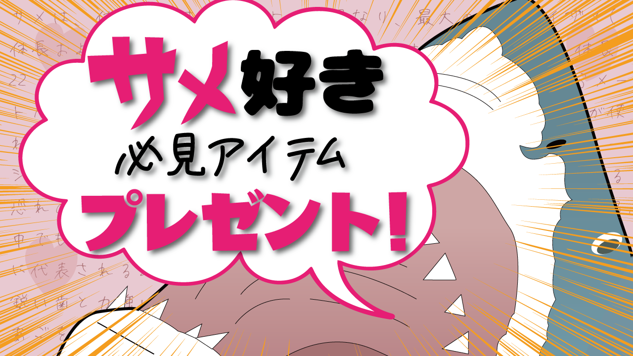 サメ好き必見アイテムプレゼント!