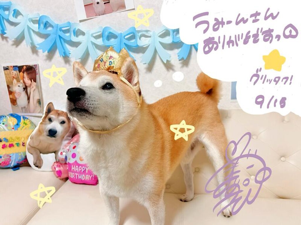 Ωまめもっっっちの部屋Ω｜SHOWROOM(ショールーム)